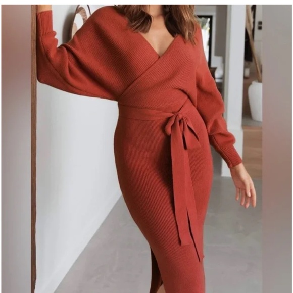 Petal and Pup Sweater Dress - Picture 1 of 2